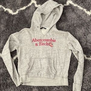 Abercrombie & Fitch Crop Hoodie